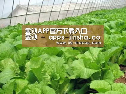 种植基地一
