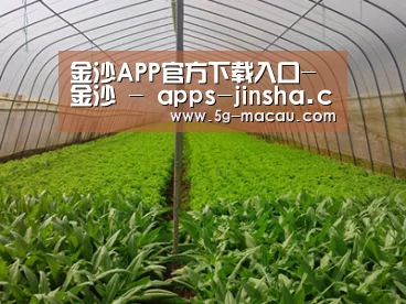 种植基地四