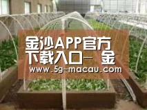 环境展示五
