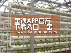 环境展示六